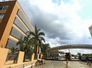 Anvisa proíbe venda de suplementos e produtos naturais irregulares