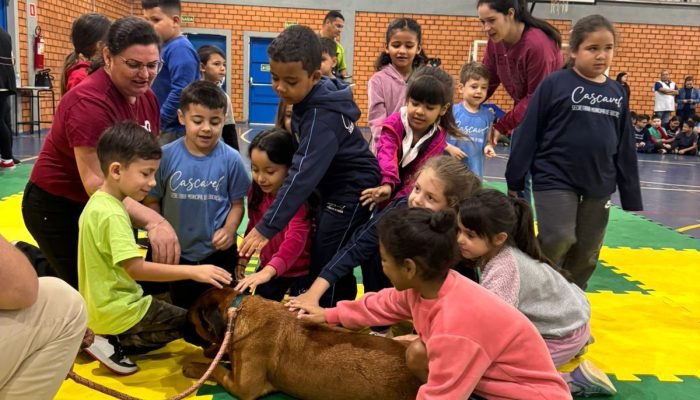 Educação confirma início da entrega dos kits de uniformes escolares em fevereiro
