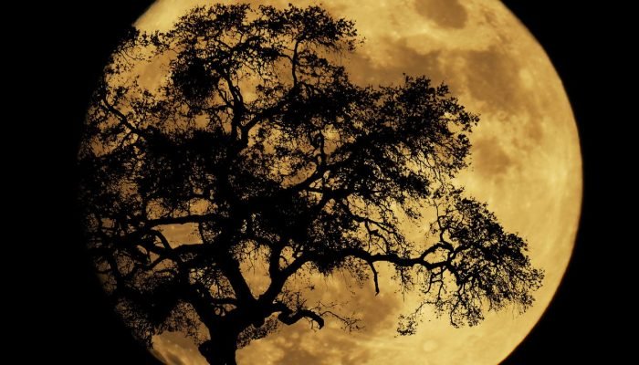 Lua Cheia de Perigeu será visível neste sábado