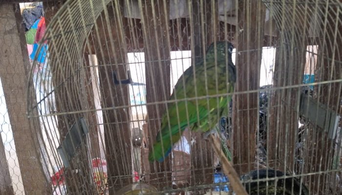 0de1561e-6100-4d04-9d9c-ad28b7656b39.jfif_.jpeg