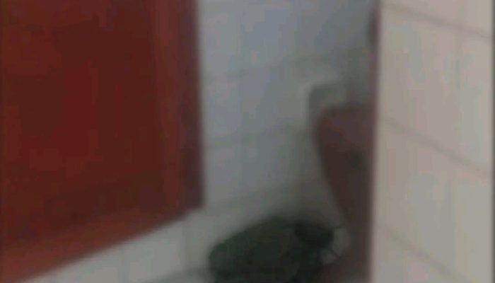1779665732581