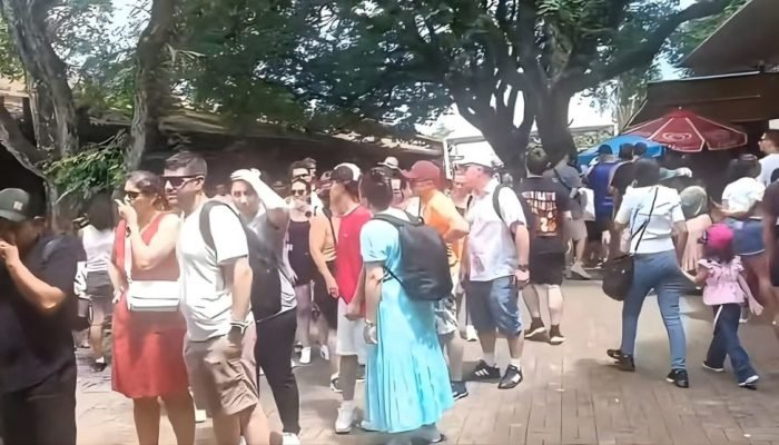 Visitação recorde gera debate sobre filas no Parque Nacional do Iguaçu