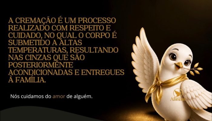 3f0478ef-83e1-455b-a6e3-7f8eb8798136.jfif_.jpeg