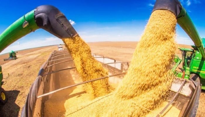 Cooperativismo mantém sustentação apesar de pressões climáticas e de mercado