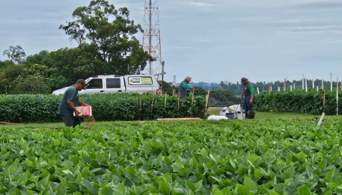Show Rural: Agro corre na frente e alimenta o Brasil e do mundo