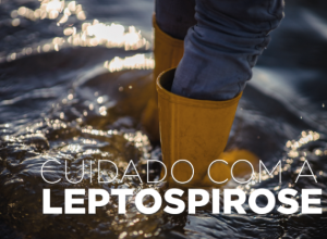 Saúde alerta: risco de leptospirose aumenta após chuvas