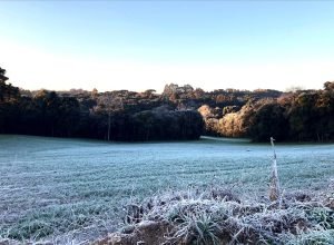 Paraná registra extremos de temperatura e tornados em 2025