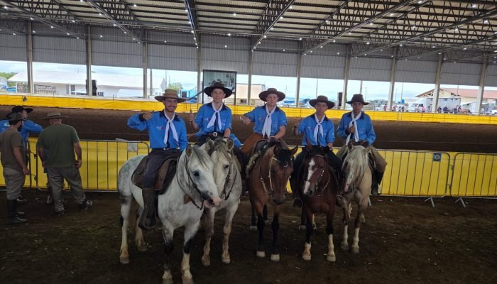 Guarapuava destaca-se na elite do laço paranaense no 35º Encontro Estadual de Seleções Campeiras