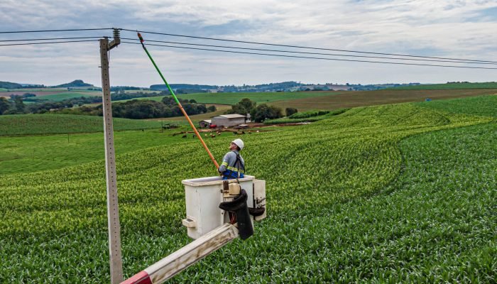 Paraná Trifásico entrega 25 mil km de redes rurais, impulsionando agroindústria com energia