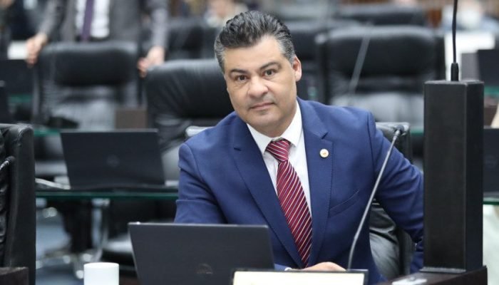 Deputado propõe lei impede condenados por maus-tratos a animais de ocupar cargos públicos