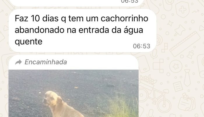 5f463ed3-e502-4aad-8f94-c8a639e108d9.jfif_.jpeg