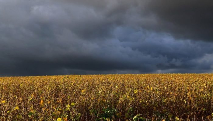 Seguro rural perde fôlego em 2025, revelando fragilidade da política agrícola