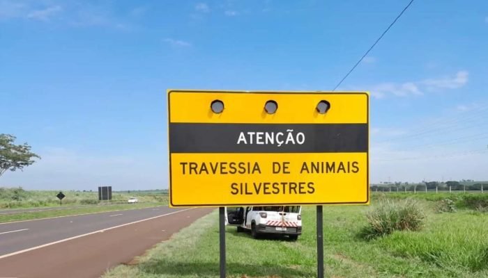 75ac03a42e9323a39ce47e0684445e8dfe1e1daa.jpg