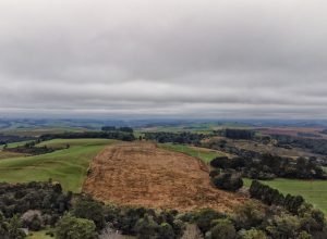 IAT isenta licenciamento de atividades agrícolas de baixo impacto