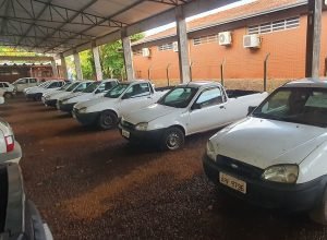 Governo do Paraná arrecada mais de R$ 14 milhões em leilões de veículos em 2025