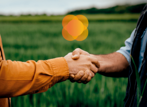 Cresol inicia pagamento de juros aos cooperados