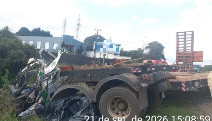 95cb1915-15d7-4b92-b19d-a1bbd5605648.jfif_.jpeg