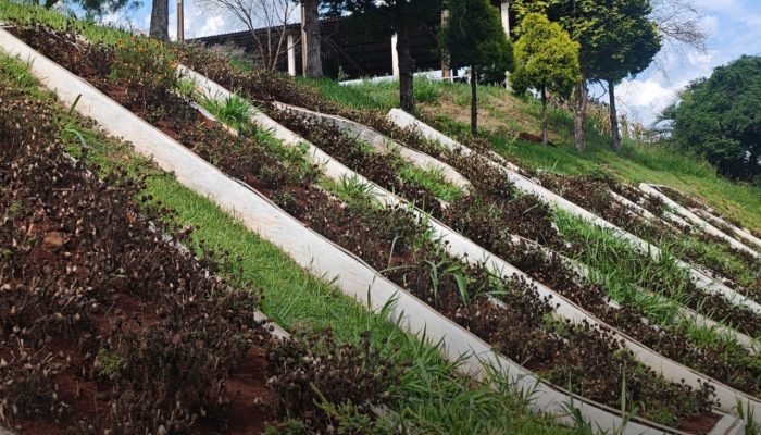 9d84cacd-5022-480b-8fcd-8b3e55f880cb