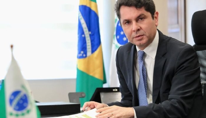 Alexandre-Curi-1.jpg