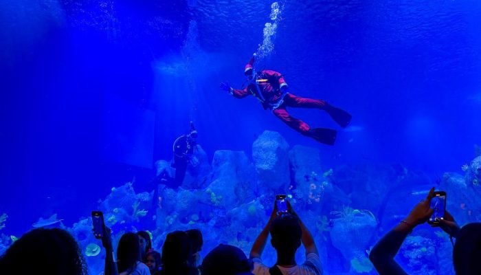 Papai Noel mergulha com tubarões e raias no AquaFoz durante o Natal