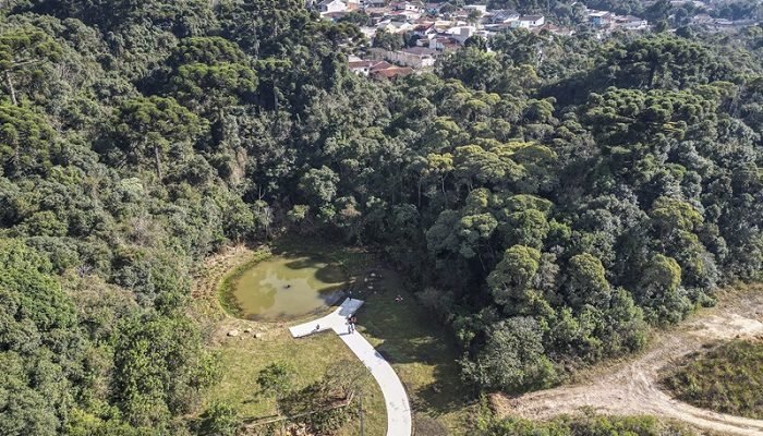 Bosque-Papa-Francisco.jpg