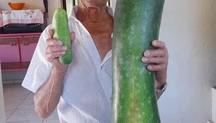 FB_IMG_1769279831313