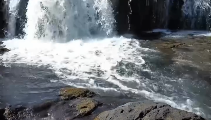 Screenshot_20260123-163439.Gerenciador de Arquivos