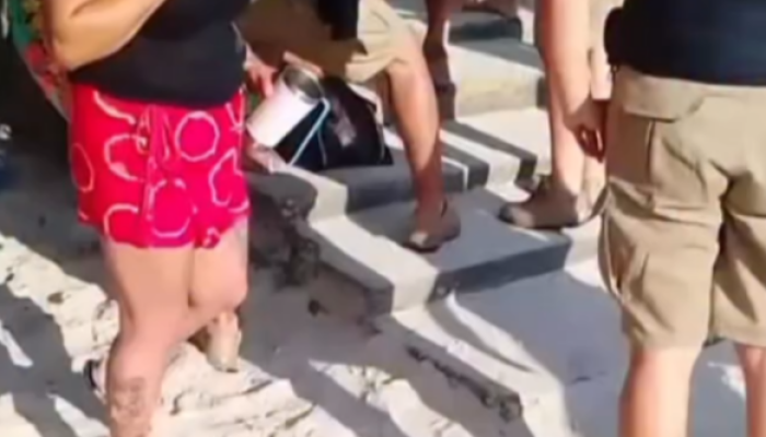 Screenshot_20260128-124716.CapCut