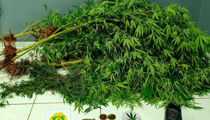 Screenshot_20260129-094524.Chrome