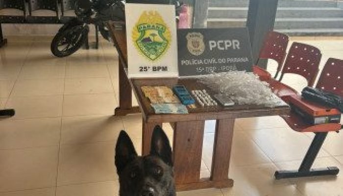 Polícia Civil e Militar prendem homem por tráfico de drogas em Iporã