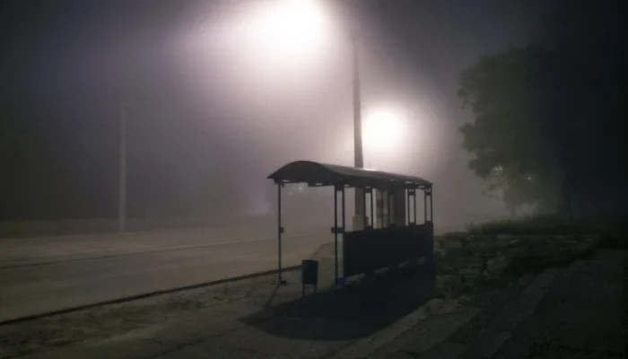 Comissão aprova direito de mulheres e idosos desembarcarem fora da parada de ônibus à noite