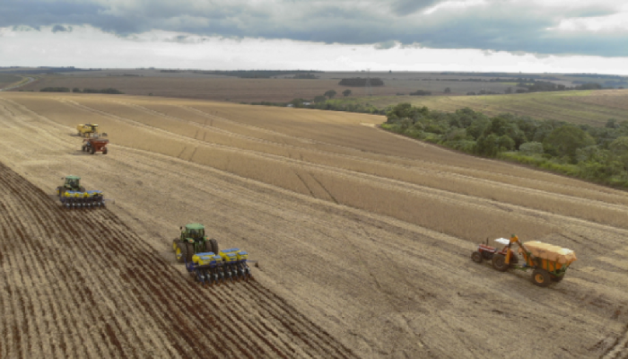 Paraná registra 13,5% da produção nacional de grãos em 2025
