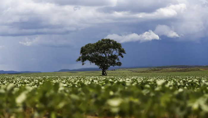 credito-rural-marcelo-camargo-agencia006620200202607181606.png