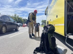 PMPR registra 9.664 infrações de trânsito nas rodovias paranaenses durante o recesso de Ano Novo