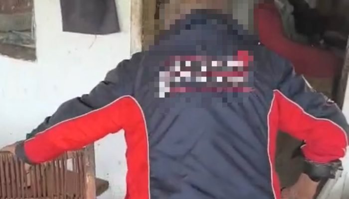 df9bb1a9-d6c3-47ff-81db-755fd250b2c1.jfif_.jpeg
