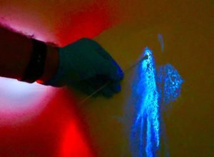 Polícia Científica do Paraná usa luminol para revelar vestígios ocultos