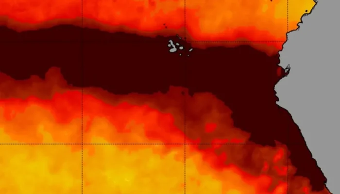 el-nino-costeiro006756260202610051345.webp