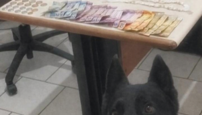 Polícia Militar prende homem por tráfico de drogas em Guaratuba