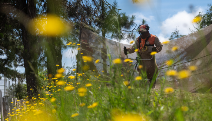 foto-terreno-prefeitura006412280202605181743.png