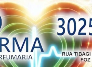 Leibniz, 1984 e o mundo das redes