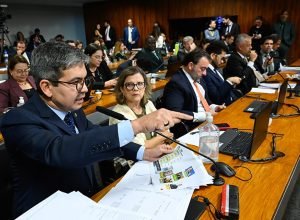Senador governista Randolfe Rodrigues (PT-AP) liderou o 'enterro' da CPMI (Foto: Marcos Oliveira/Agência Senado)