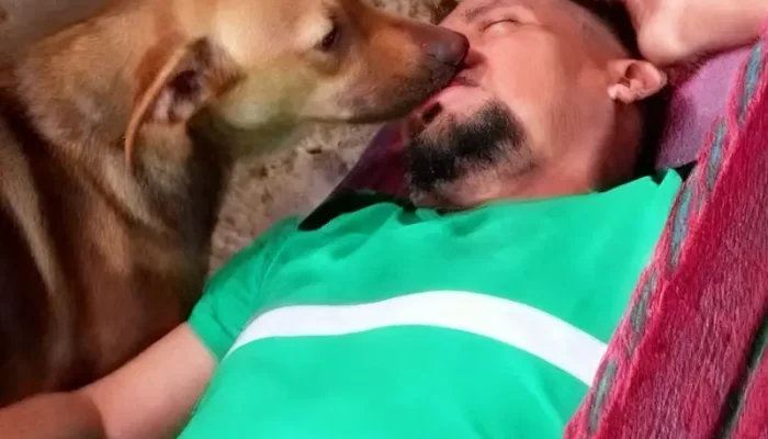 lv_0_20260208180443-1229x1536