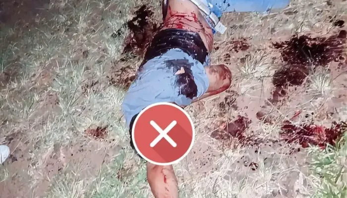 lv_0_20260414185148-1152x1536