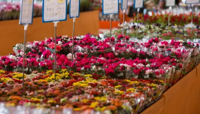 shoppingdasflores-creditofabianodebruim006400000202605092046.webp.webp